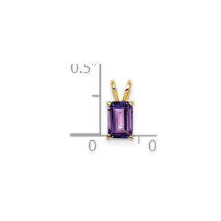 14k Yellow Gold Amethyst Pendant XP419AM