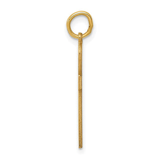 14K Yellow Gold Laser Designed Ankh Cross Charm XR1065