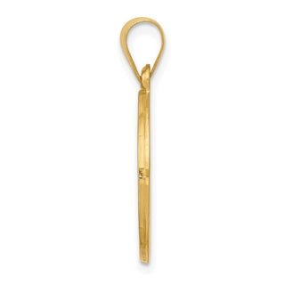 14k Yellow Gold Polished and Satin Our Lady Of Lourdes Medal Pendant