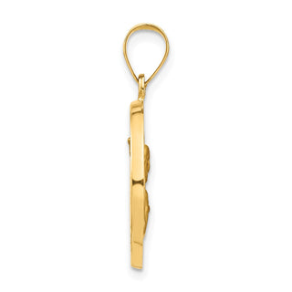 14k Yellow Gold Satin Queen Of Holy Scapular Reversible Medal Pendant XR1266