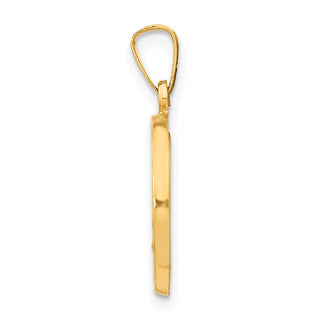 14k Yellow Gold Polished and Satin Miraculous Medal Pendant XR1270