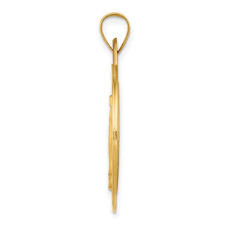 14k Yellow Gold Polished and Satin Miraculous Medal Pendant XR1275