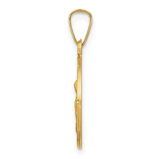 14k Yellow Gold Polished and Satin St. Anne Medal Pendant XR1285