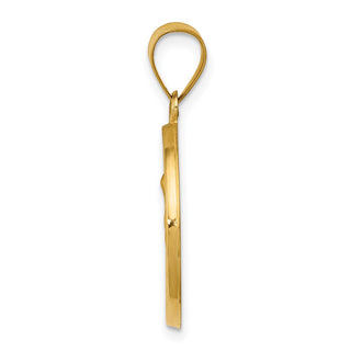 14k Yellow Gold Polished and Satin St. Anne Medal Pendant XR1286