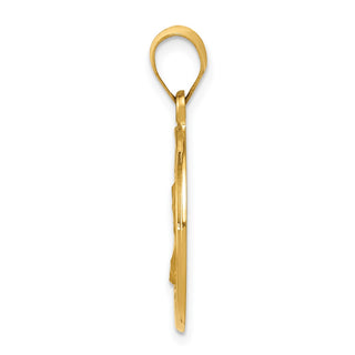 14k Yellow Gold Polished and Satin St. Charles Medal Pendant