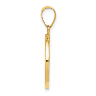 14k Yellow Gold Polished and Satin St. Christopher Medal Pendant XR1299