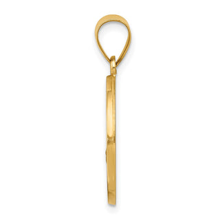 14k Yellow Gold Polished and Satin St. Florian Medal Pendant XR1317
