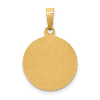 14k Yellow Gold Polished and Satin St. Francis Medal Pendant XR1321
