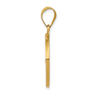 14k Yellow Gold Polished and Satin St. Francis Medal Pendant XR1322