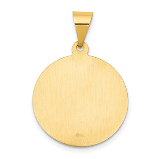 14k Yellow Gold Polished and Satin St. Francis Medal Pendant XR1322