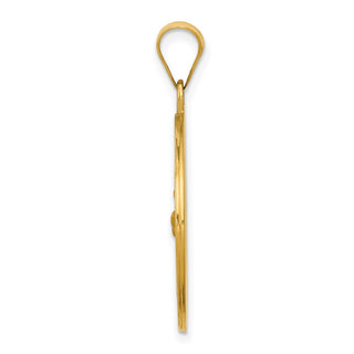 14k Yellow Gold Polished and Satin St. Francis Medal Pendant XR1323