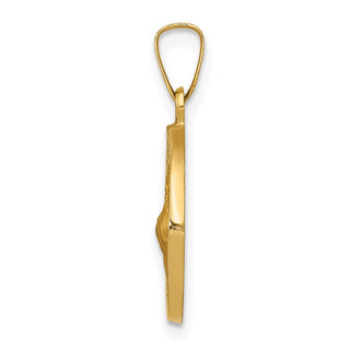 14k Yellow Gold Polished and Satin St. Francis Of Assisi Medal Pendant XR1324