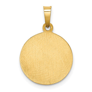 14k Yellow Gold Polished and Satin St. Francis Of Assisi Medal Pendant XR1324