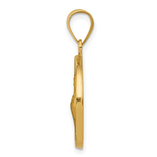 14k Yellow Gold Polished and Satin St. Francis Of Assisi Medal Pendant XR1326