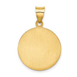 14k Yellow Gold Polished and Satin St. Francis Of Assisi Medal Pendant XR1326