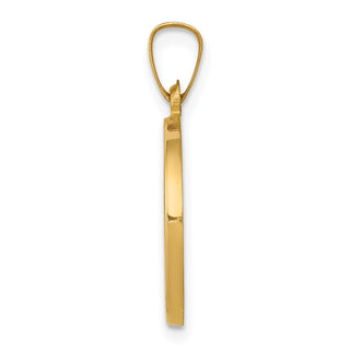 14k Yellow Gold Polished and Satin St. John Baptist Medal Pendant XR1334