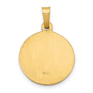 14k Yellow Gold Polished and Satin St. John Baptist Medal Pendant XR1334