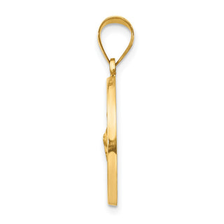 14k Yellow Gold Polished and Satin St. Jude Thaddeus Medal Pendant XR1346