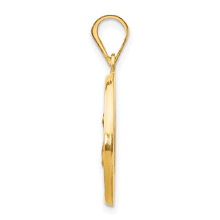 14k Yellow Gold Polished and Satin St. Lucy Medal Pendant XR1354