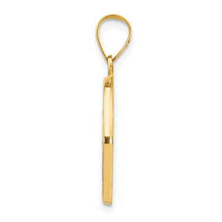 14k Yellow Gold Polished and Satin St. Luke Medal Pendant XR1355
