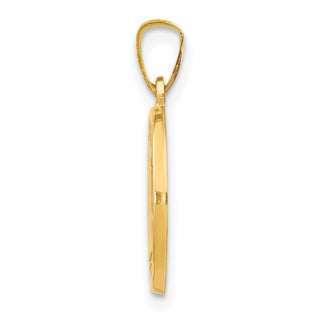 14k Yellow Gold Polished and Satin St. Luke Medal Pendant XR1356