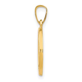 14k Yellow Gold Polished and Satin St. Luke Medal Pendant XR1356