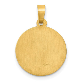 14k Yellow Gold Polished and Satin St. Luke Medal Pendant XR1356