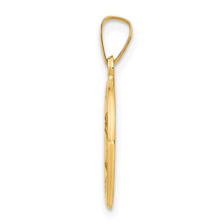 14k Yellow Gold Polished and Satin St. Mark Medal Pendant