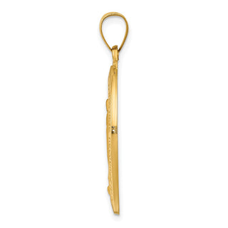14k Yellow Gold Polished and Satin Miraculous Medal Pendant XR1366