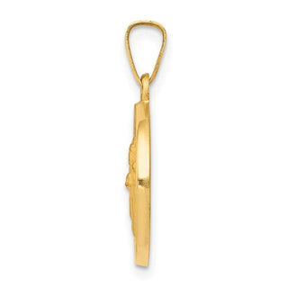 14k Yellow Gold Polished and Satin St. Patrick Medal Pendant XR1372