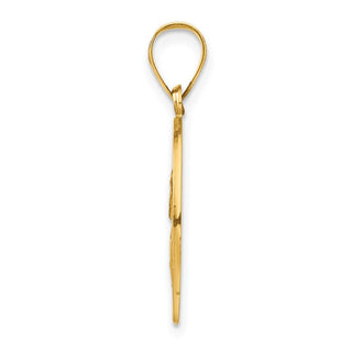14k Yellow Gold Polished and Satin St. Paul Medal Pendant XR1377