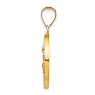 14k Yellow Gold Polished and Satin St. Peregrine Medal Pendant XR1378