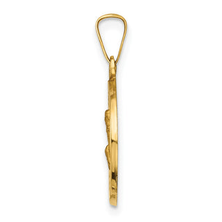 14k Yellow Gold Polished and Satin St. Peregrine Medal Pendant XR1379