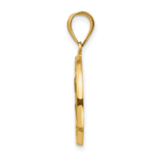 14k Yellow Gold Polished and Satin St. Peter Medal Pendant XR1380
