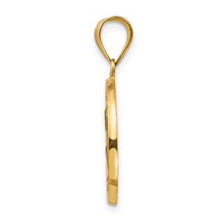 14k Yellow Gold Polished and Satin St. Peter Medal Pendant XR1380