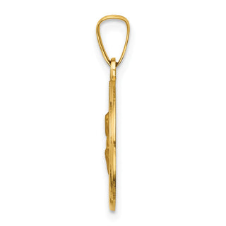14k Yellow Gold Polished and Satin St. Peter Medal Pendant XR1381