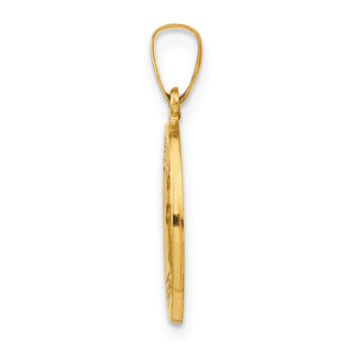 14k Yellow Gold Polished and Satin St. Raphael Medal Pendant XR1382