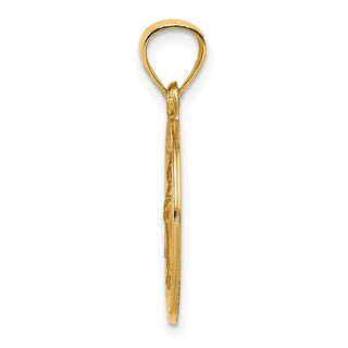 14k Yellow Gold Polished and Satin St. Raphael Medal Pendant XR1383