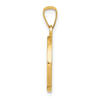 14k Yellow Gold Polished and Satin First Holy Communion Medal Pendant XR1388