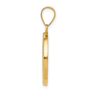 14k Yellow Gold Polished and Satin First Holy Communion Medal Pendant XR1389