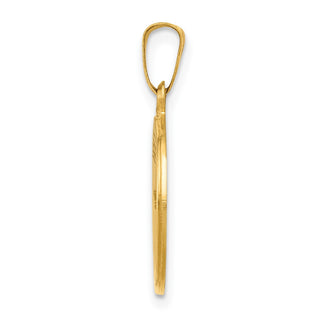 14k Yellow Gold Polished and Satin Holy Communion Medal Pendant