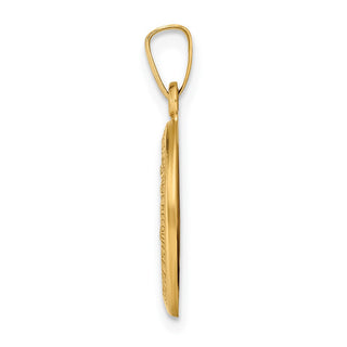 14k Yellow Gold Polished and Satin Miraculous Medal Pendant XR1401