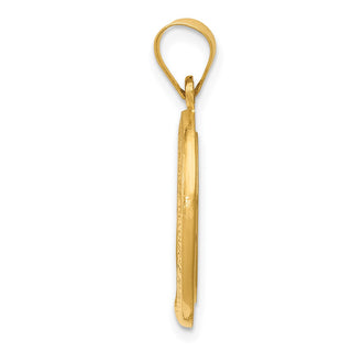 14k Yellow Gold Polished and Satin Miraculous Medal Pendant XR1406