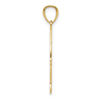 14k Yellow Gold Polished JESUS Fish Pendant