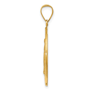 14k Yellow Gold Polished and Satin Hollow Spanish Miraculous Medal Pendant