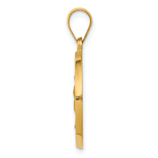 14k Yellow Gold Polished & Satin Spanish Our Lady Guadalupe Hollow Medal Pendant