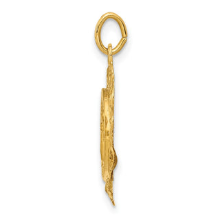 14k Yellow Gold Polished and Satin Spanish Guardian Angel Medal Pendant