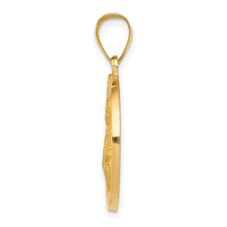 14k Yellow Gold Polished and Satin St. Agatha Hollow Medal Pendant