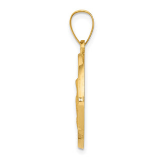14k Yellow Gold Polished and Satin Hollow Spanish Saint Anne Medal Pendant