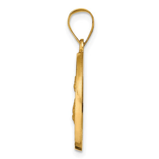 14k Yellow Gold Polished and Satin Hollow Spanish St. Lucy Medal Pendant